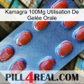 Kamagra 100Mg Utilisation De Gelée Orale 06